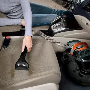 Basic Cleaning